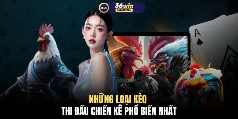 Đá gà 36WIN 3 Những loại kèo thi đấu chiến kê phổ biến nhất
