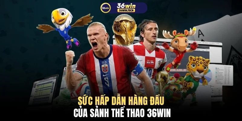 Thể thao 36WIN 1 Sức hấp dẫn hàng đầu của sảnh thể thao 36WIN